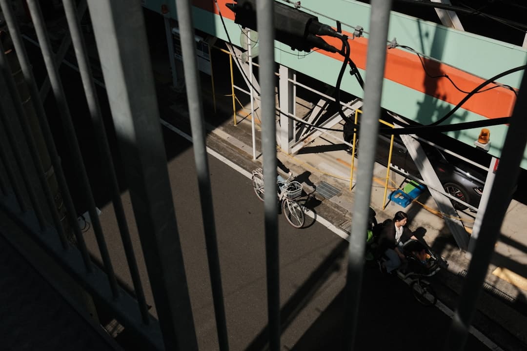 福建提早超额完成年度植树造林使命